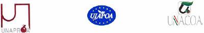 Unaproa, Uiapoa e Unacoa confermano la riduzione delle rese del pomodoro da industria